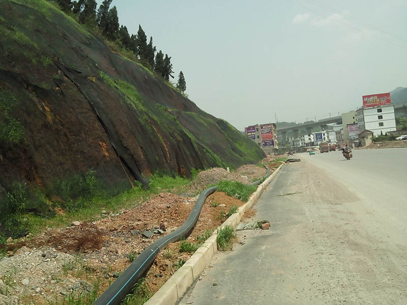 高速公路护坡绿化-案例