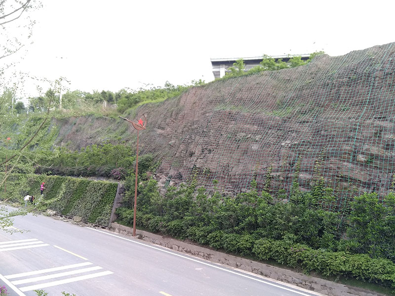 市政绿化-案例